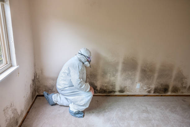 Forensic Mold Investigation in Huntington, TX