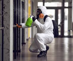 Why You Should Choose Our Mold Remediation Services in Huntington, TX